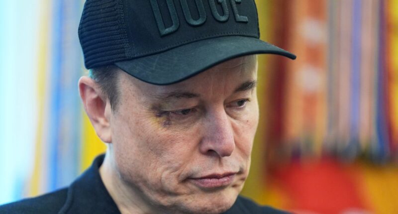 Elon Musk and Rand Paul appear to join forces against Trump and the ‘big, beautiful bill’