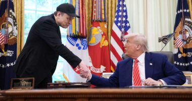 Elon Musk calls Trump tax bill an ‘abomination.’ Does he have the clout to stop it?