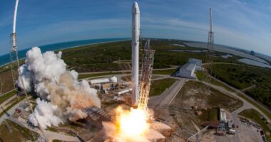 Elon Musk says he will slay Dragon space station transport after Trump contract threat