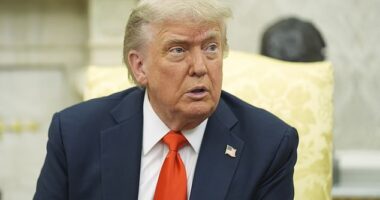 President Donald Trump floated that his bromance with Elon Musk was over after the former 'first buddy' went on a social media tear over the Republicans' 'big beautiful bill.' 'Elon and I had a great relationship. I don't know if we will any more,' Trump said