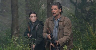 Enjoyed 'The Last of Us' Season 2? Joel & Ellie Reunite for a New Video Game Statue From Dark Horse Direct