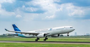 Garuda Indonesia suspended the entire crew of flight GA716 following a complaint from a passenger that his phone had been stolen while onboard (stock)