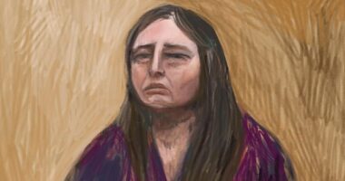 Erin Patterson has come under intense scrutiny by Crown prosecutor Dr Nanette Rogers