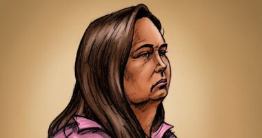 Erin Patterson mushroom murder trial LIVE updates: Patterson accused of lying about emergency roadside toilet stop after fatal lunch - as the jury hears the final pieces of evidence in the mammoth murder trial