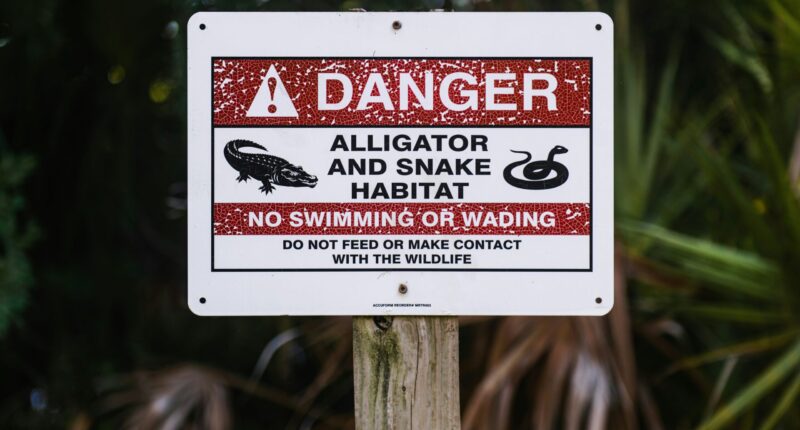 FL Moves Forward With 'Alligator Alcatraz' ICE Detention Center