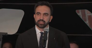 Far-Left Immigrant Zohran Mamdani Has Won the Dems’ NYC Mayoral Primary.