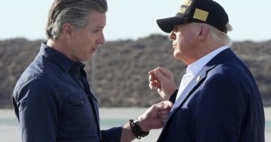 Federal Judge Orders Trump to Return California National Guard to State Control – RedState