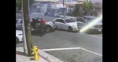 Feds Ram Car of Allged Anti-ICE Rioter After Assault on Border Agent.