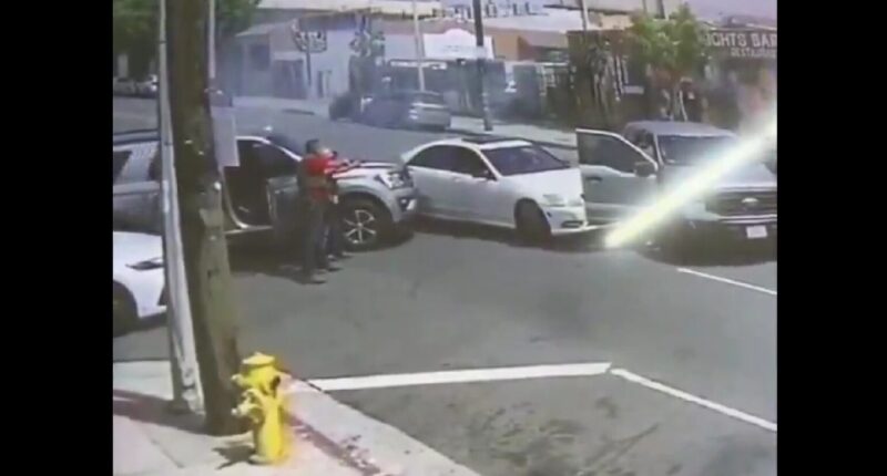 Feds Ram Car of Allged Anti-ICE Rioter After Assault on Border Agent.