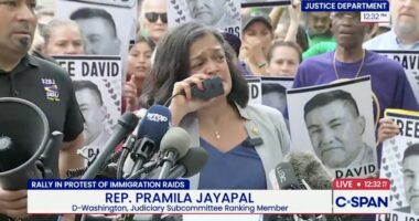 Foreign-Born Reps Defending Rioters Prove Founders Right