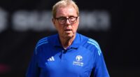 Harry Redknapp has hit out at Spurs players who have shown support for Ange Postecoglou