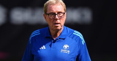 Harry Redknapp has hit out at Spurs players who have shown support for Ange Postecoglou