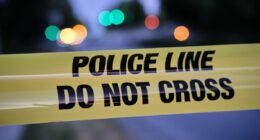 Four dogs die in Las Vegas heat after ‘plastered’ owner fell asleep and forgot to let them out of car: cops