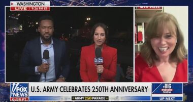 Former intelligence official, Rebekah Koffler (right), was quickly taken off air after she appeared to slur her words during a Fox News interview