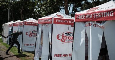 Gay men in African countries have reported struggles accessing HIV prevention medication amid drastic cuts to foreign aid programs (Pictured: HIV testing booths in Nairobi, Kenya in 2017)