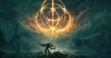 An image from elden ring game
