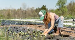 Going Soft On Illegal Labor Is A Betrayal Of American Workers