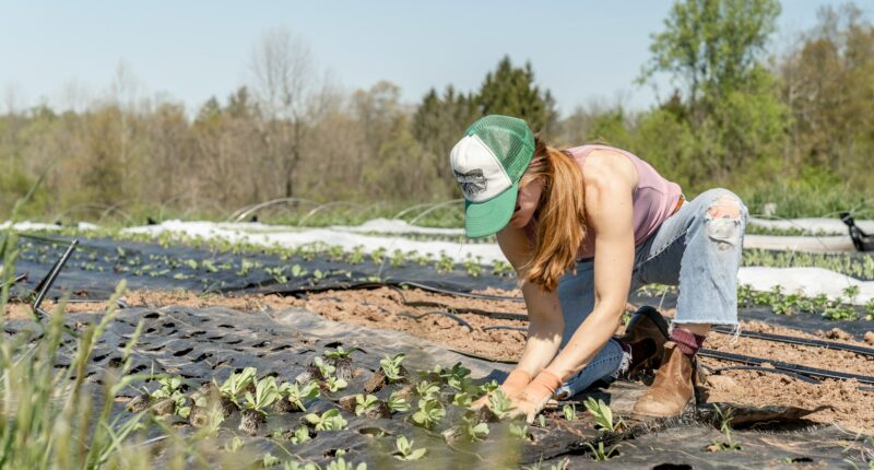 Going Soft On Illegal Labor Is A Betrayal Of American Workers