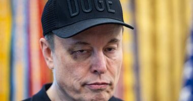 New details have emerged about the White House brawl that happened in April between Elon Musk and Treasury Secretary Scott Bessent