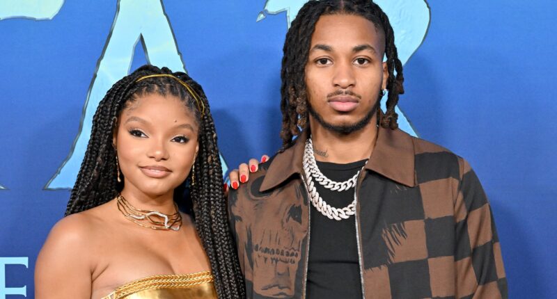 Halle Bailey Breaks Silence After DDG Discloses Her Alleged Self-Harm History Amid Custody Case