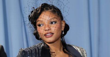 Halle Bailey Braveface Relatable Lyrics Social Media Reactions Raw Music Video