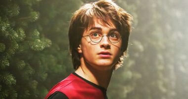 Harry Potter TV Show Just Debunked One Of The Best OG Actor Recasting Theories After Exciting Franchise Update
