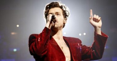 Harry Styles Reportedly Seen Kissing Mystery Woman at Glastonbury Festival