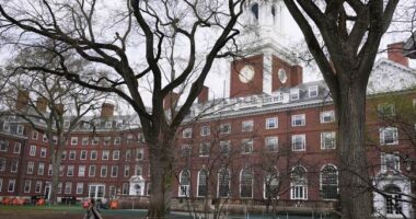 Harvard Continues Two-Track Response to White House – HotAir