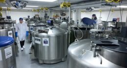Pictured above are some of the large freezers that store the samples at Harvard University
