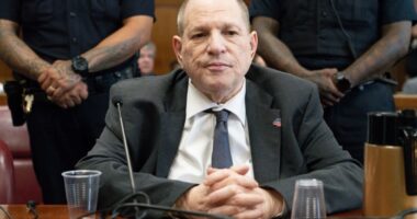 Harvey Weinstein admits he has ‘regrets’ and ‘acted immorally’ as he awaits verdict in New York rape trial