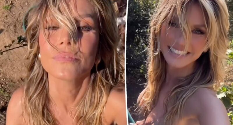 Heidi Klum dances in strappy gold bikini while gardening