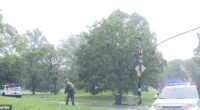 The area near the terrifying strike was roped off with yellow police tape for about an hour as rain continued to pour over the park