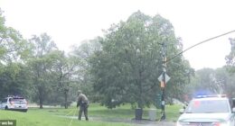 The area near the terrifying strike was roped off with yellow police tape for about an hour as rain continued to pour over the park