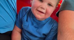 Beckham Reed was playing with his cousins on an electric toy recently when he hit a nest of wasps, which 'swarmed him head to toe'