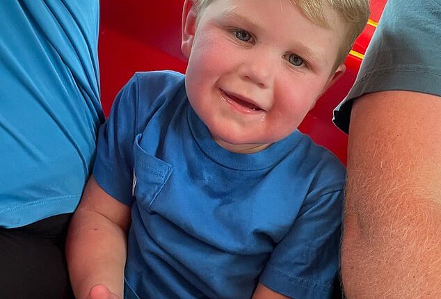 Beckham Reed was playing with his cousins on an electric toy recently when he hit a nest of wasps, which 'swarmed him head to toe'