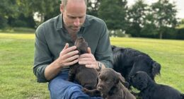 A photo showing Prince William playing with a litter of puppies was shared by his wife Kate to mark his birthday on June 21. Their dog Orla, a gift from Kate's brother James, is believed to have given birth to the puppies