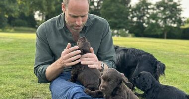 A photo showing Prince William playing with a litter of puppies was shared by his wife Kate to mark his birthday on June 21. Their dog Orla, a gift from Kate's brother James, is believed to have given birth to the puppies