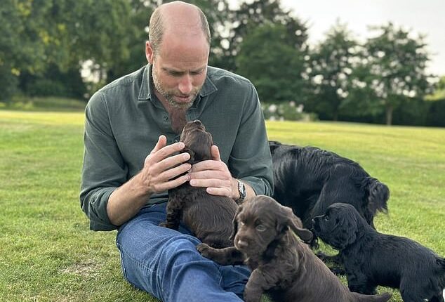 A photo showing Prince William playing with a litter of puppies was shared by his wife Kate to mark his birthday on June 21. Their dog Orla, a gift from Kate's brother James, is believed to have given birth to the puppies