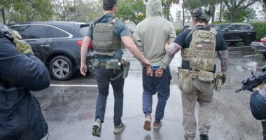 ICE Nabs Over a Dozen Iranian Nationals As Concern Over Sleeper Cells Deepens – RedState