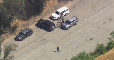 ICE agents descend on Dodger Stadium two weeks after riots that brought LA to its knees