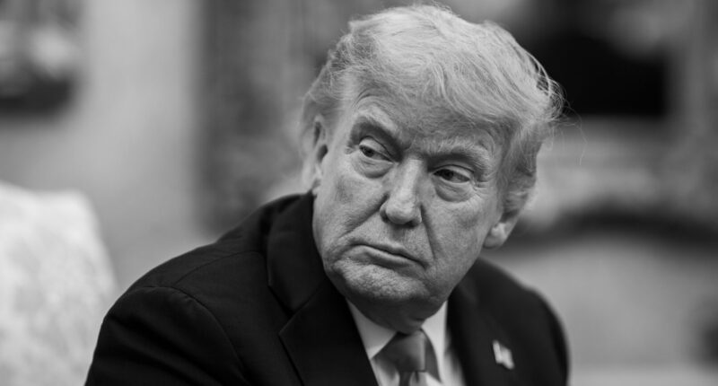 Illegals Are 'Very Good' Farm, Hotel Workers, 'We'll Have an Order On That.'