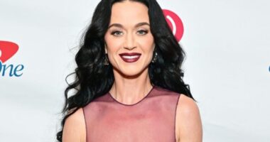 “Imagine Coming Back From Space for This”: Katy Perry Fan Storms Stage in Sydney, Internet Reacts