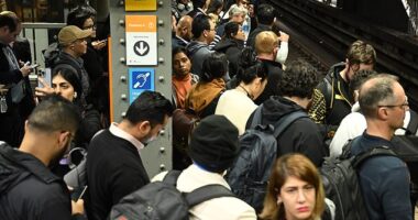 Immigration levels are soaring under Anthony Albanese with almost two-thirds of new foreigners moving to Sydney (pictured) and Melbourne