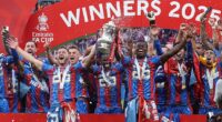 Crystal Palace won the FA Cup, which looked to have got them a place in the Europa League