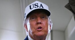 Iran says it is 'coordinating with Russia' and warns US should expect 'heavy consequences' as Trump appears to call for Tehran regime change and fears grow UK and other allies face terror backlash