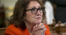 Is Eloise Gomez Reyes an Elected State Senator in CA or Not? We Elect Representatives, Not Seat Warmers