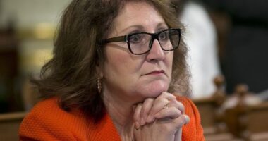 Is Eloise Gomez Reyes an Elected State Senator in CA or Not? We Elect Representatives, Not Seat Warmers