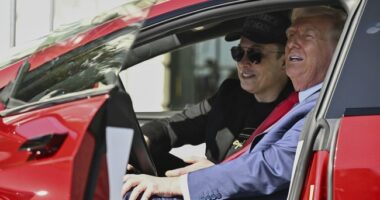 Is The Reunion Underway? More News as Trump Weighs In on Elon Musk – RedState