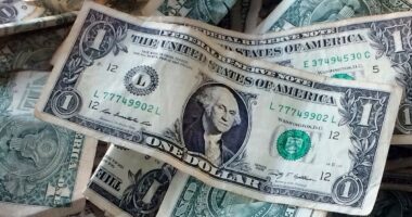 It might be tempting to put 401(k) contributions on hold, but sticking with it is a better strategy