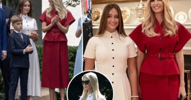 Ivanka Trump's daughter borrows mom's dress for White House visit